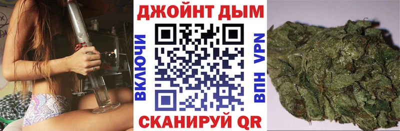Каннабис конопля  Почеп 